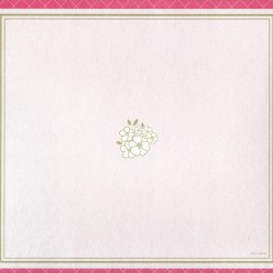 boxbackcover8b.jpg