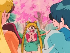 screenshot-anime-sailor-moon-s-episode-091-194.jpg