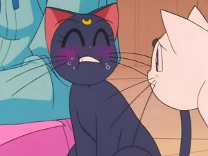 screenshot-anime-sailor-moon-s-episode-091-207.jpg