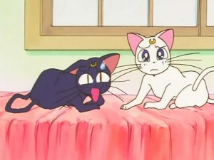screenshot-anime-sailor-moon-s-episode-112-151.jpg