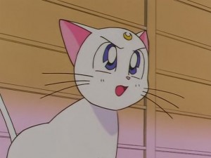 screenshot-anime-sailor-moon-sailor-stars-episode-178-088.JPG