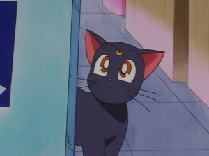 screenshot-anime-sailor-moon-sailor-stars-episode-178-151.JPG
