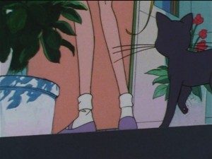 screenshot-anime-sailor-moon-sailor-stars-episode-182-166.JPG