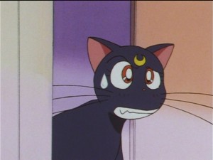 screenshot-anime-sailor-moon-sailor-stars-episode-184-082.JPG
