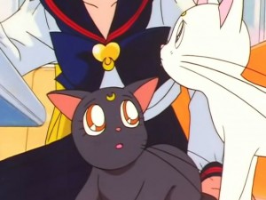screenshot-anime-sailor-moon-sailor-stars-episode-192-064.jpg