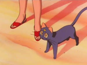 screenshot-anime-sailor-moon-super-s-episode-144-249.jpg