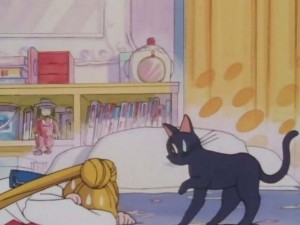 SailorMoon-s1-001(296).jpg