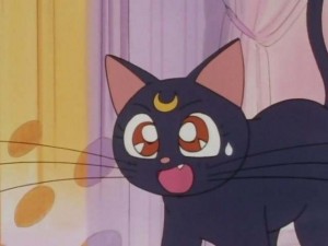 SailorMoon-s1-001(298).jpg