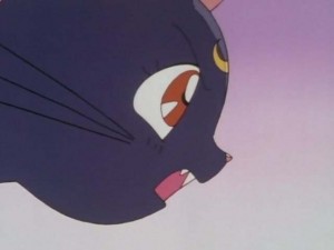 SailorMoon-s1-001(315).jpg