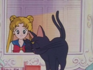 SailorMoon-s1-001(319).jpg
