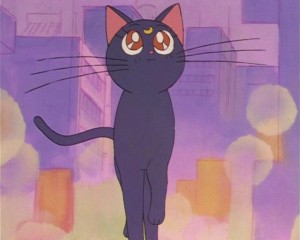 SailorMoon-s1-002(337).JPG