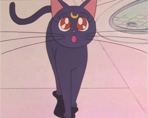 SailorMoon-s1-002(428).JPG