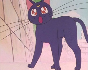 SailorMoon-s1-002(435).JPG