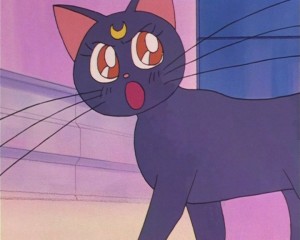 SailorMoon-s1-002(439).JPG