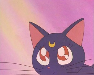 SailorMoon-s1-002(84).JPG