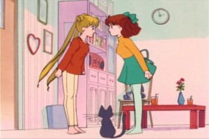SailorMoon-s1-007(100).jpg