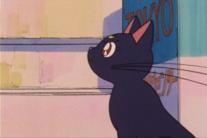 SailorMoon-s1-007(223).jpg