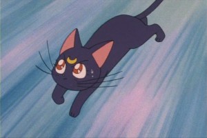 SailorMoon-s1-013(452).JPG