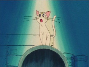 SailorMoon-s1-033(506).JPG