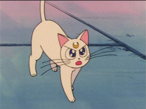 SailorMoon-s1-034(15).jpg