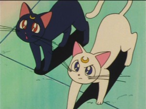 SailorMoon-s1-034(252).jpg