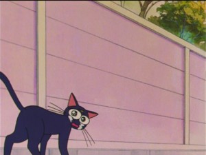 SailorMoon-s1-037(482).jpg