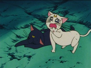 SailorMoon-s1-044(504).JPG