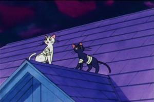 SailorMoon-s1-046(298).jpg