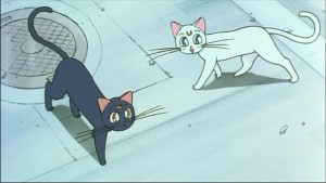 Sailormoon-R (718).jpg