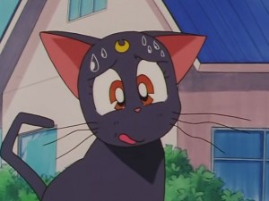 screenshot-anime-sailor-moon-sailor-stars-episode-178-124.JPG