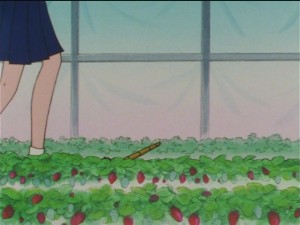 screenshot-anime-sailor-moon-sailor-stars-episode-179-081.JPG