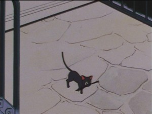 screenshot-anime-sailor-moon-sailor-stars-episode-182-165.JPG
