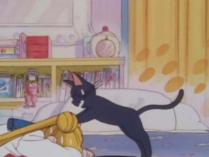 SailorMoon-s1-001(297).jpg