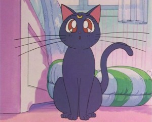 SailorMoon-s1-002(101).JPG