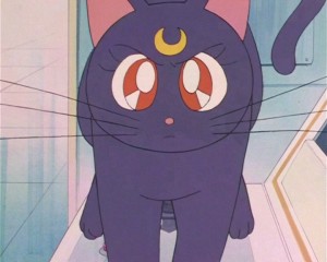 SailorMoon-s1-002(216).JPG