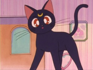 SailorMoon-s1-007(478).jpg