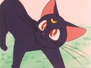 SailorMoon-s1-011(363).jpg