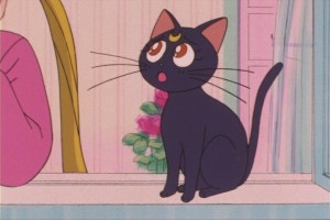 SailorMoon-s1-013(88).JPG