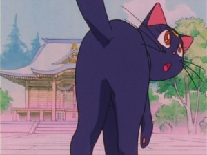 SailorMoon-s1-016(254).jpg