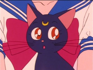 SailorMoon-s1-021(195).jpg