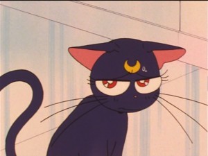 SailorMoon-s1-023(138).jpg