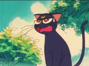 SailorMoon-s1-023(64).jpg