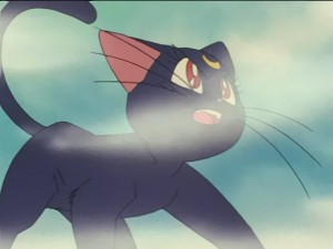 SailorMoon-s1-027(327).JPG