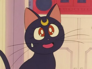 SailorMoon-s1-030(297).JPG