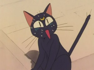 SailorMoon-s1-031(157).JPG