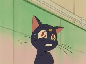 SailorMoon-s1-031(28).JPG
