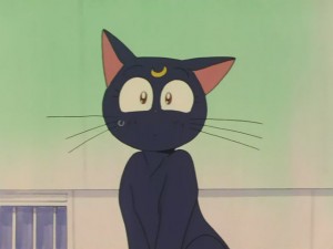 SailorMoon-s1-031(53).JPG