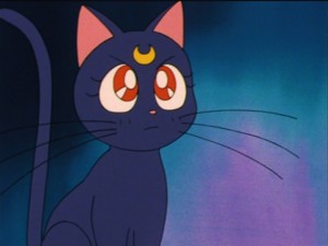 SailorMoon-s1-035(262).jpg