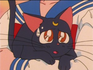 SailorMoon-s1-036(450).jpg