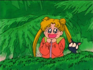 SailorMoon-s1-037(126).jpg